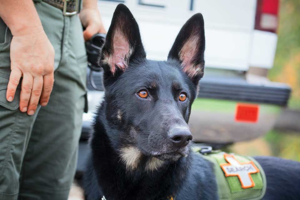 The East Bay Pet Owner's Guide